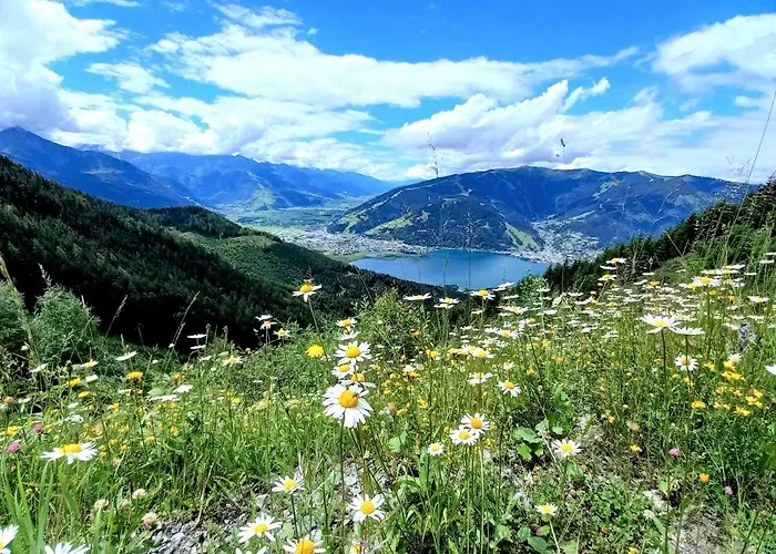 Διαμέρισμα Resi Im Zentrum *