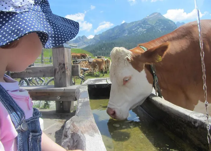 Διαμέρισμα Resi Im Zentrum Fusch an der Grossglocknerstrasse