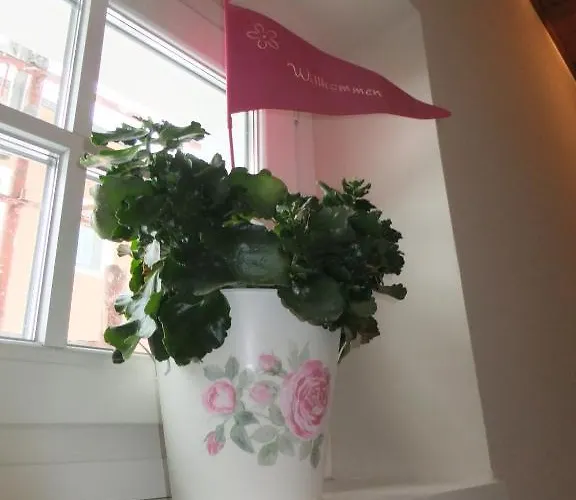 Resi Im Zentrum Διαμέρισμα